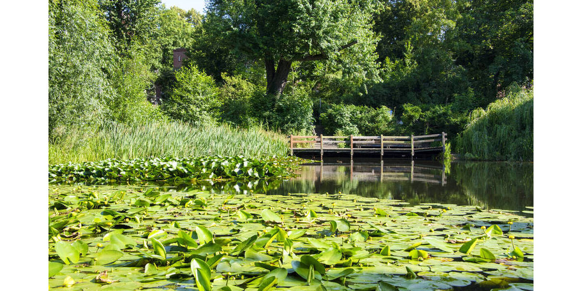 Etagenwohnung Berlin Weißensee - 2 Zimmer, 64 m&sup2;, 299.000&euro; | Angebot:25990136