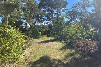 Grundstück Fredersdorf-Vogelsdorf Vogelsdorf - 290.000&euro; | Angebot:25739588