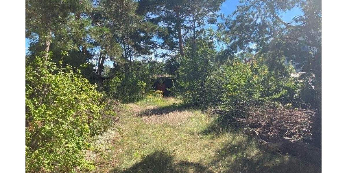 Grundstück Fredersdorf-Vogelsdorf Vogelsdorf - 290.000&euro; | Angebot:25739588