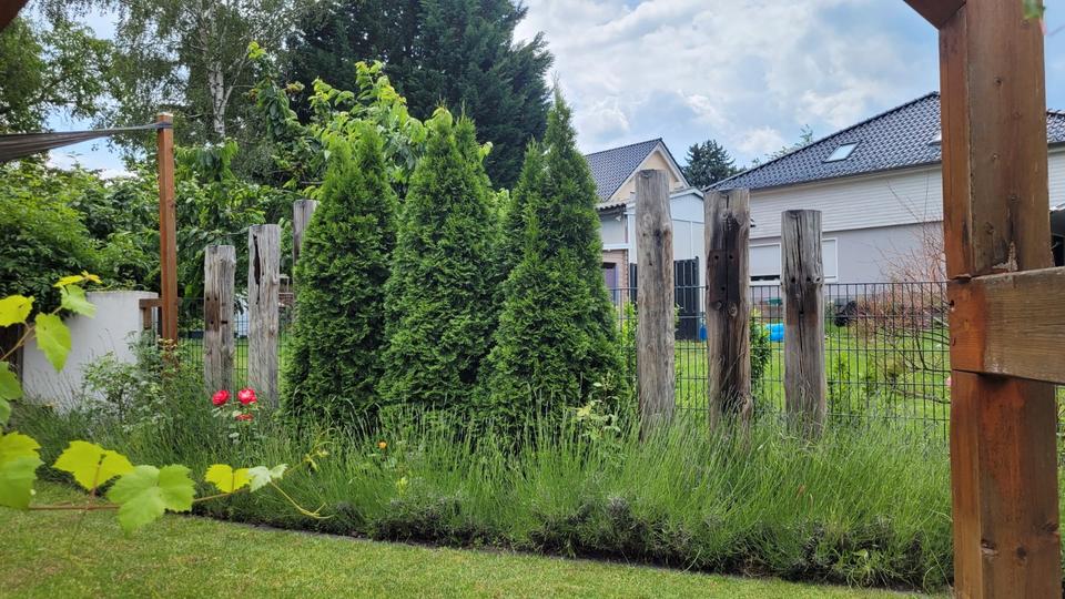 Bungalow Zeuthen - 7 Zimmer, 160 m&sup2;, 680.000&euro; | Angebot:26940698