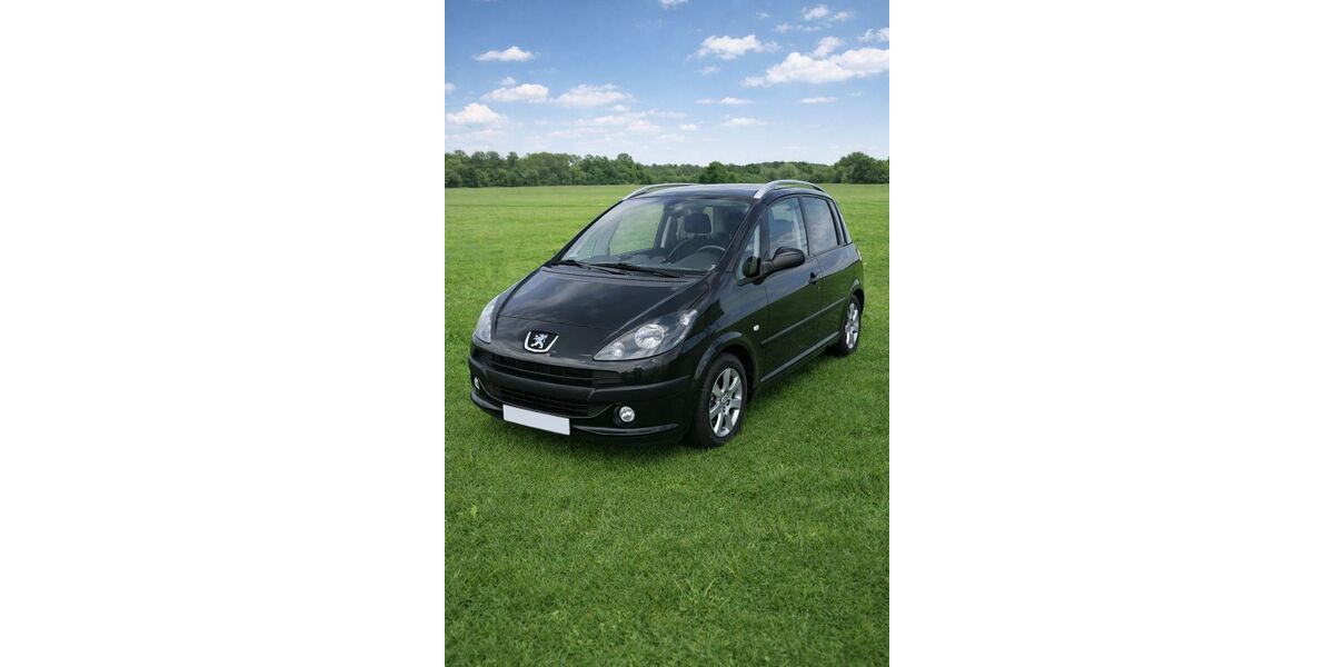 Peugeot 1007 134.000 km 3.790 &euro; Berlin 14167