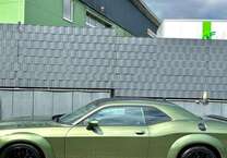 Gebrauchtwagen Dodge Challenger