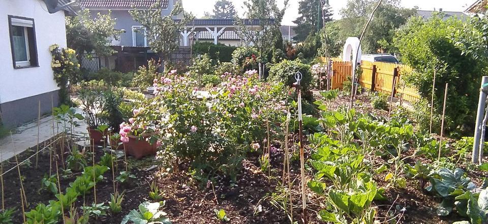 Haus mit Selbstversorgergarten 20 km von Berlin
