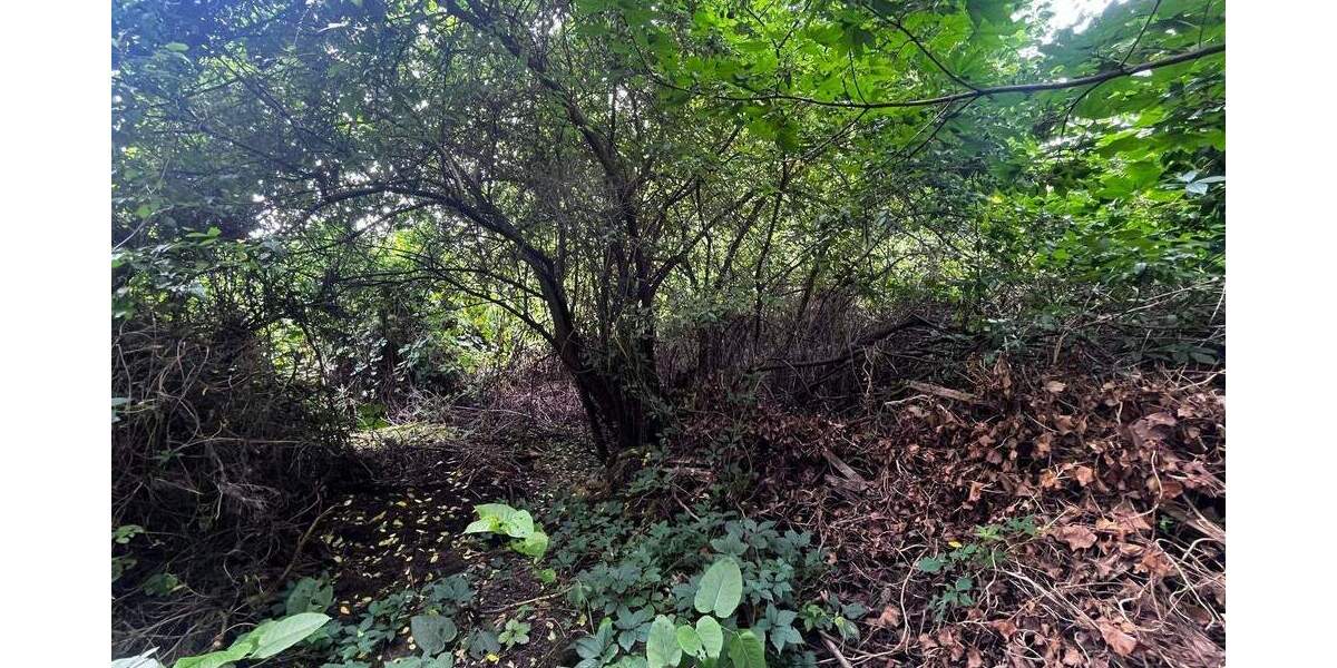 Grundstück Berlin Weißensee - 219.000&euro; | Angebot:24037658