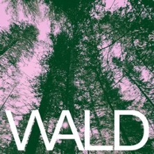Wald Berlin