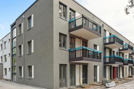 Perfekt für Singles oder Paare! 2-Zimmer Neubau Wohnung in Ludwigsfelde zimmer