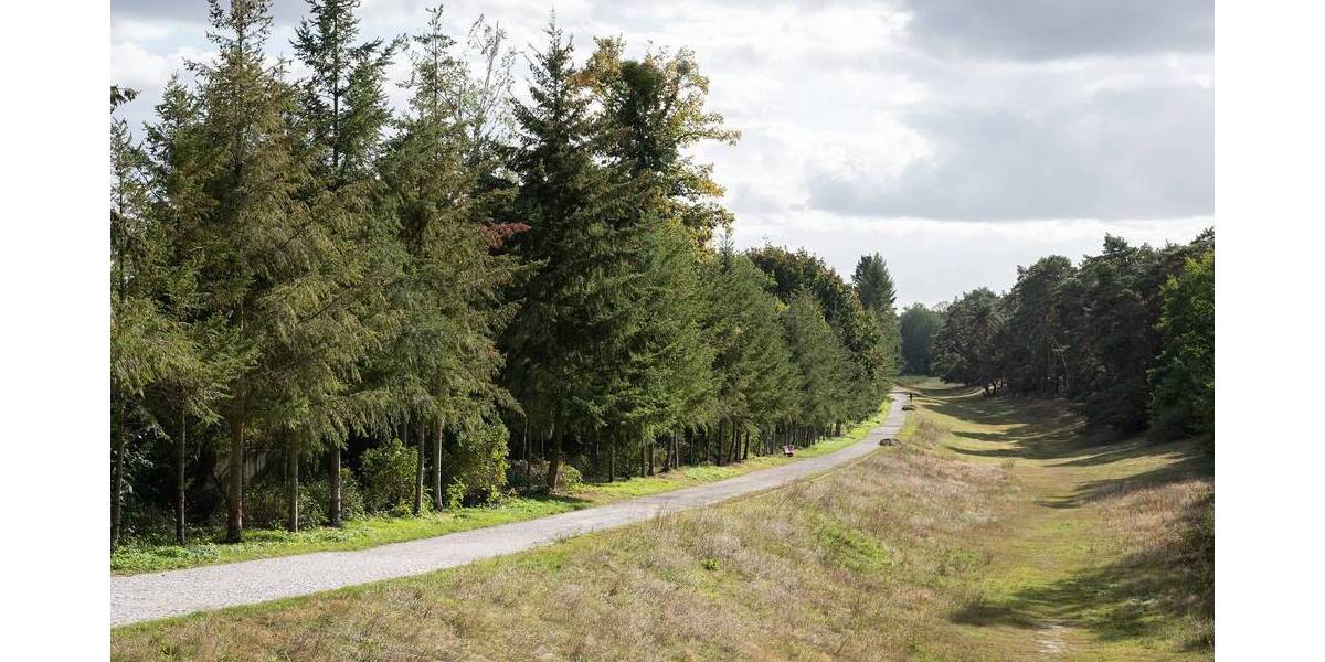 Etagenwohnung Berlin Dahlem - 4 Zimmer, 120 m&sup2;, 597.900&euro; | Angebot:25733172