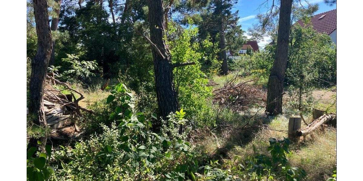 Grundstück Fredersdorf-Vogelsdorf Vogelsdorf - 290.000&euro; | Angebot:25739588