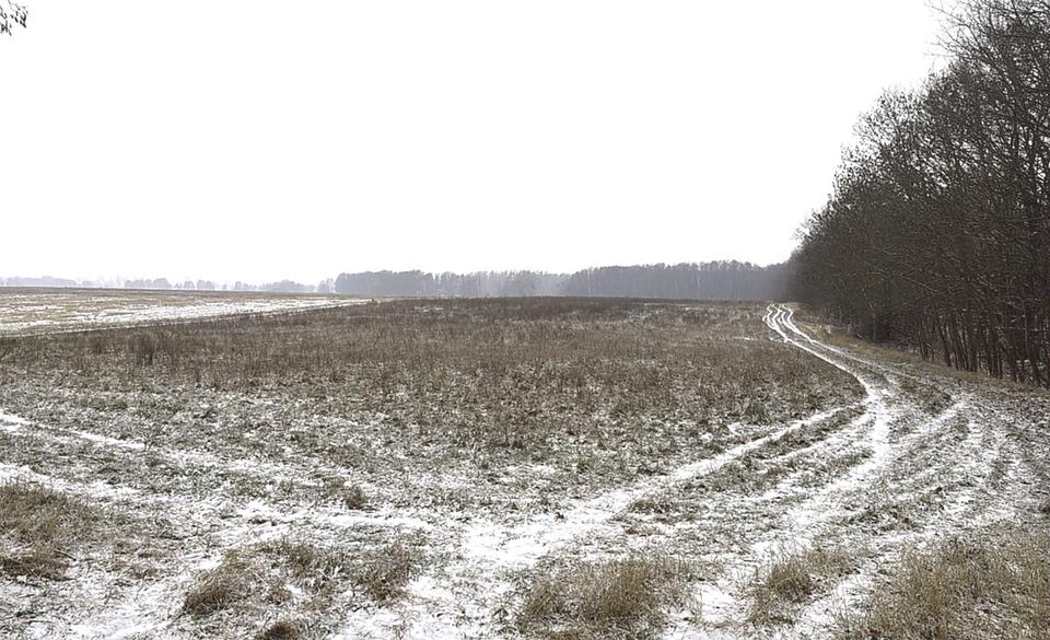 Einfamilienhaus Petershagen/Eggersdorf Eggersdorf - 5 Zimmer, 120 m&sup2;, 2.000&euro; | Angebot:25053158