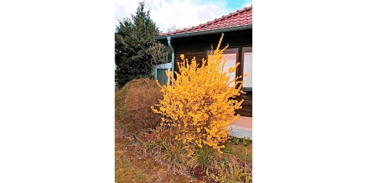Einfamilienhaus Potsdam Krampnitz - 4 Zimmer, 114 m&sup2;, 450.000&euro; | Angebot:26578837