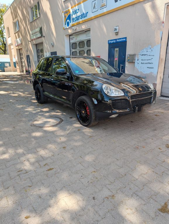 Cayenne