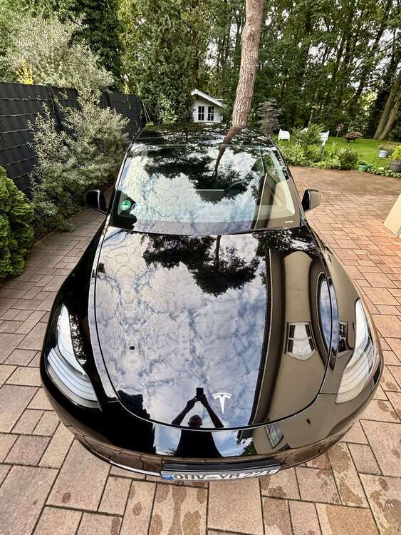 Model Y