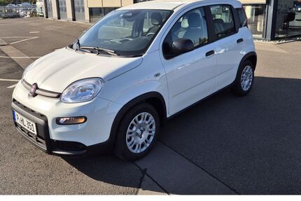 Fiat Panda 5.750 km 13.999 &euro; Wildau 15745