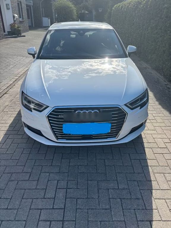 A3