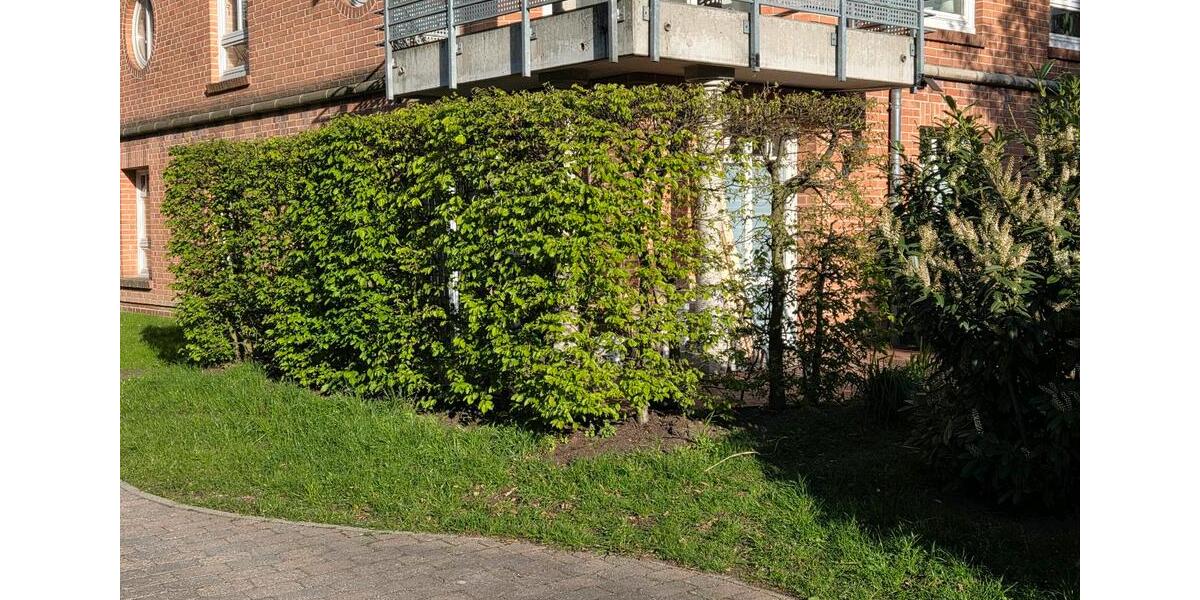 Terrassenwohnung Berlin Treptow-Köpenick - 2 Zimmer, 65 m&sup2;, 309.000&euro; | Angebot:26750619
