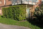 Terrassenwohnung Berlin Treptow-Köpenick - 2 Zimmer, 65 m&sup2;, 309.000&euro; | Angebot:26750619
