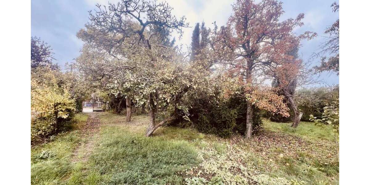 Grundstück Wildau - 350.000&euro; | Angebot:23251919