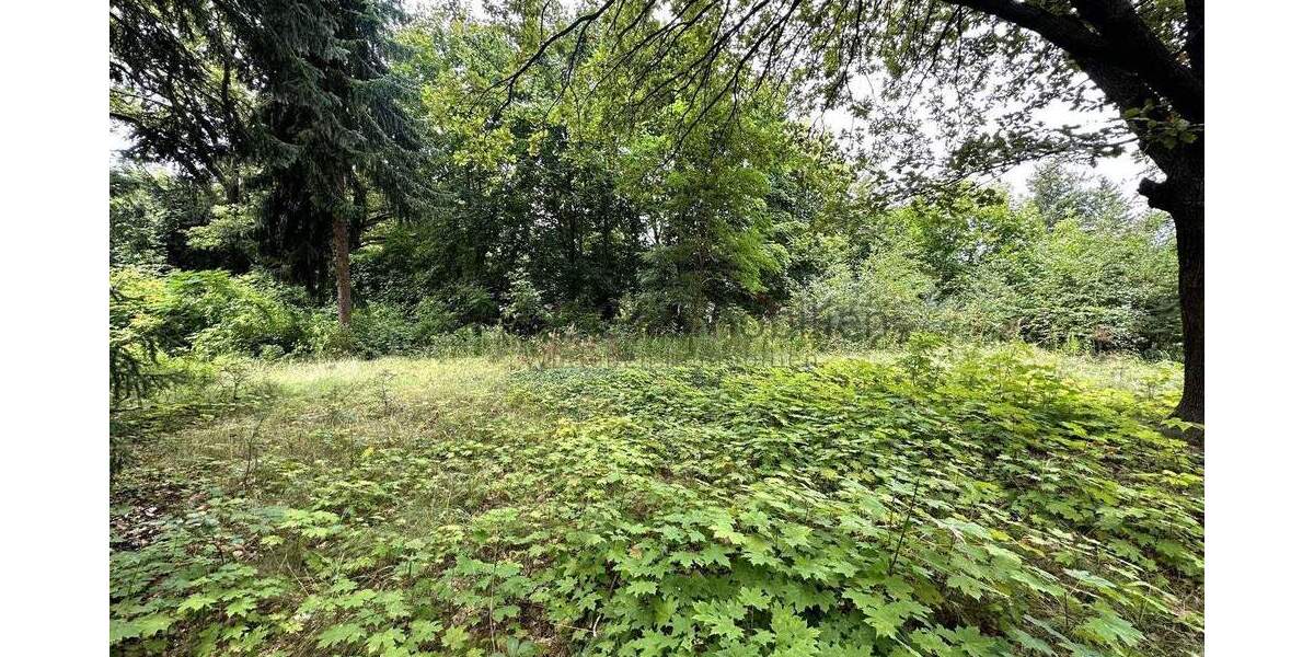 Grundstück Zeuthen - 316.000&euro; | Angebot:25709977