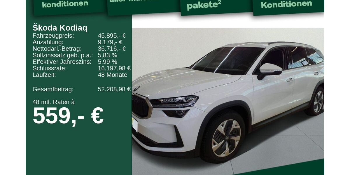 Skoda Kodiaq 17.315 km 44.989 &euro; Berlin 13088