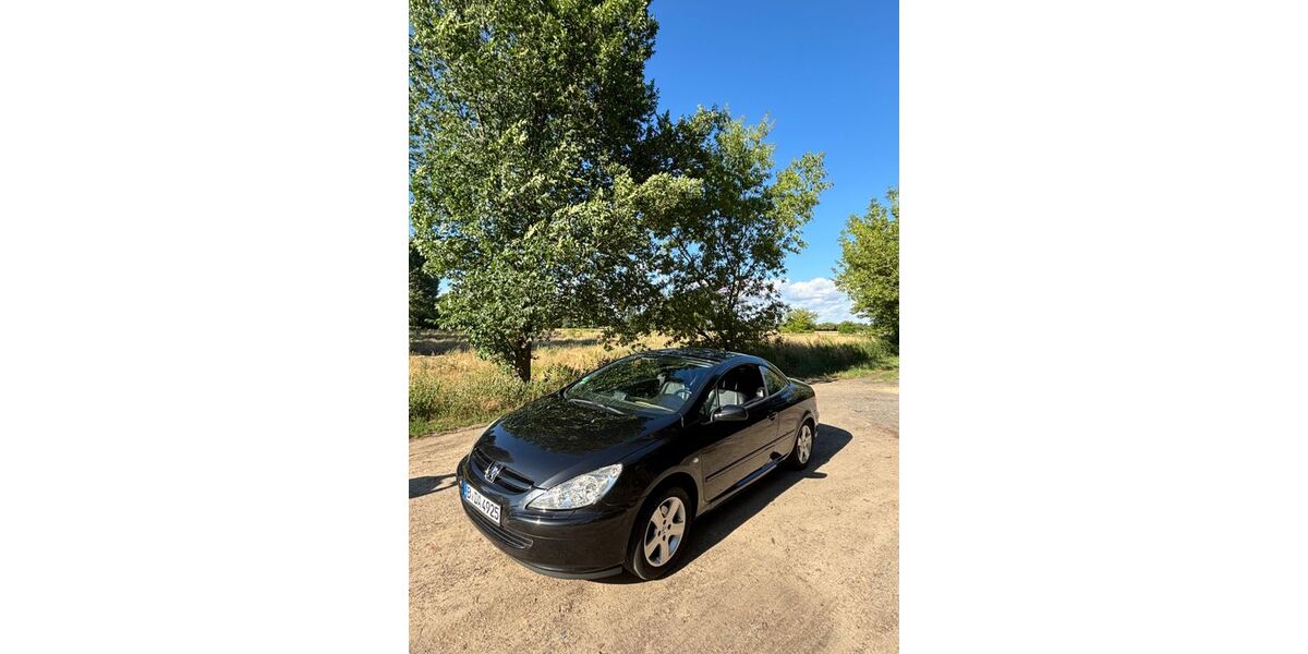 Peugeot 307 118.860 km 3.800 &euro; Berlin 10439