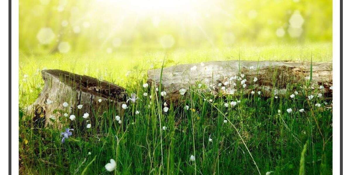 Etagenwohnung Berlin Französisch Buchholz - 3 Zimmer, 76 m&sup2;, 829&euro; | Angebot:25800102