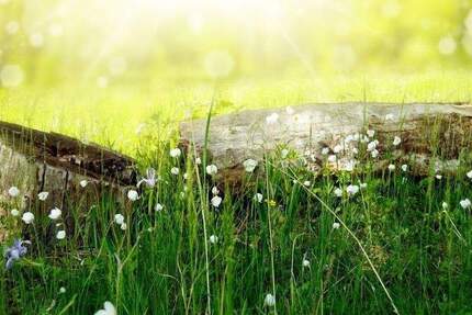 Wohnung Berlin Französisch Buchholz - 3 Zimmer, 76 m&sup2;, 829&euro; | Angebot:25800102