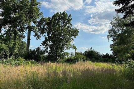 Flexibel bebaubares Grundstück in Blankenfelde-Mahlow zimmer
