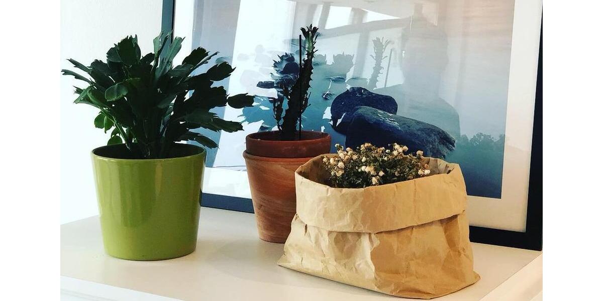 Etagenwohnung Berlin Pankow - 2 Zimmer, 60 m&sup2;, 1.800&euro; | Angebot:25646084