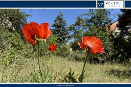 Sonniges Grundstück in begehrter Lage nahe Obersee - Platz für Ihre Wohnträume zimmer