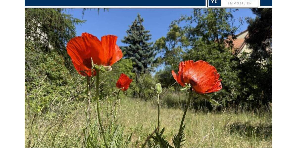 Sonniges Grundstück in begehrter Lage nahe Obersee - Platz für Ihre Wohnträume zimmer