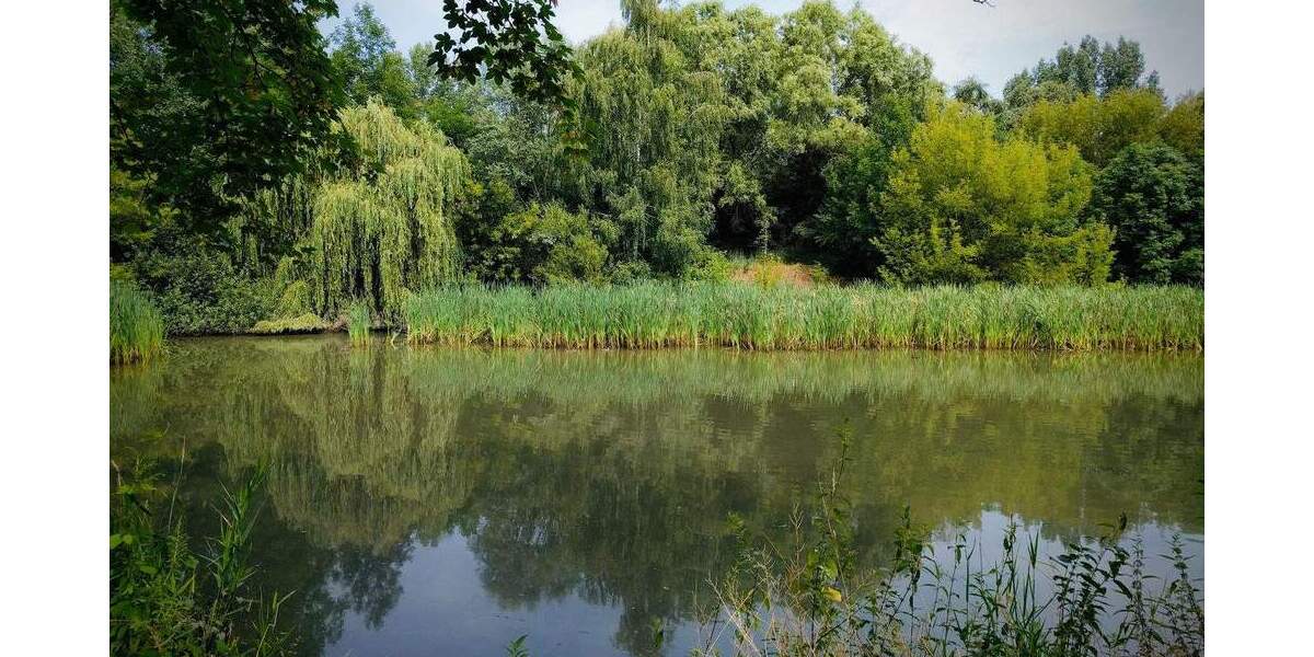 Etagenwohnung Berlin Friedrichsfelde - 4 Zimmer, 113 m&sup2;, 699.000&euro; | Angebot:24669733