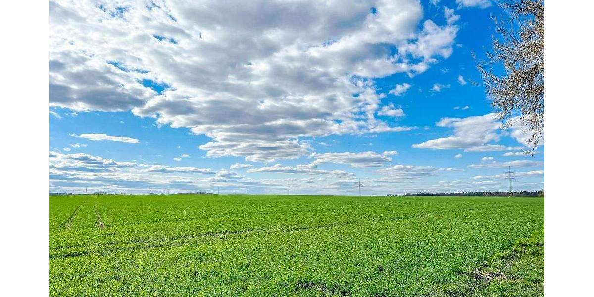 Wassergrundstück! Idyllisches Anwesen direkt am Haussee zimmer