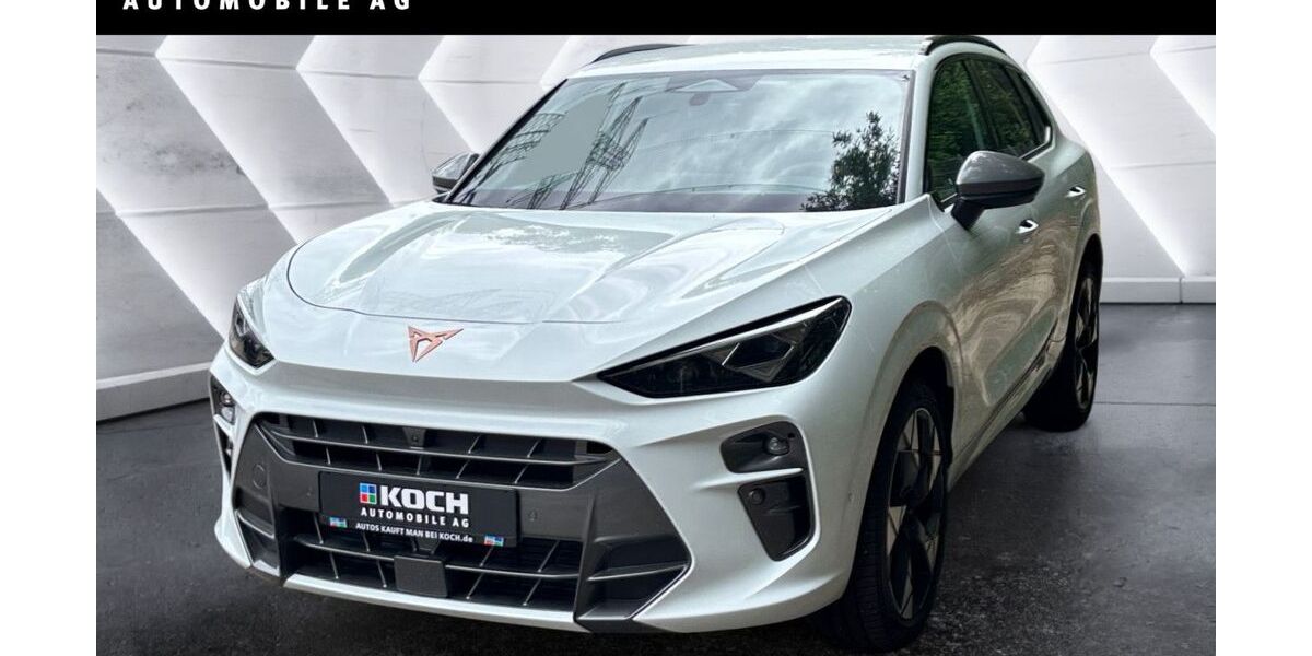 Cupra Terramar 1.100 km 34.990 &euro; Berlin 13051
