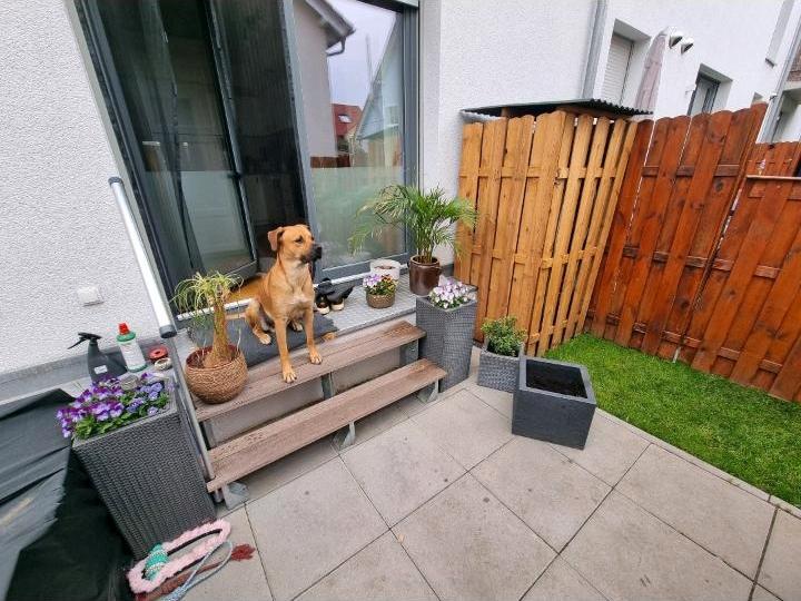 Erdgeschoßwohnung Neuenhagen bei Berlin - 4 Zimmer, 100 m&sup2;, 1.700&euro; | Angebot:25841351