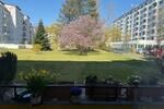 Erdgeschoßwohnung Berlin Charlottenburg-Wilmersdorf - 2 Zimmer, 65 m&sup2;, 375.000&euro; | Angebot:26576121