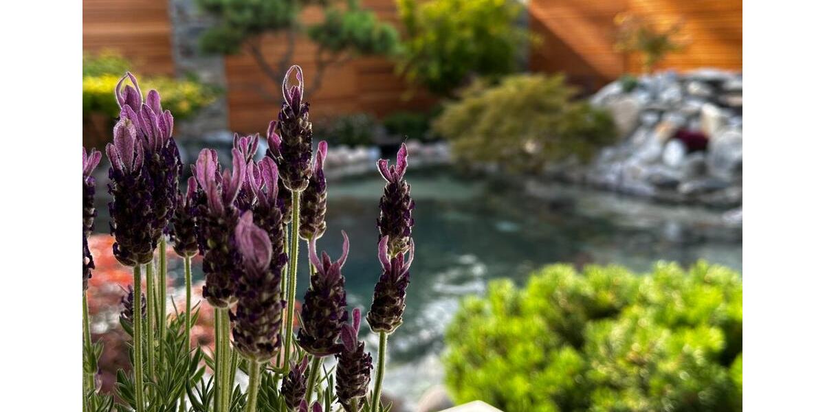 Einfamilienhaus Hennigsdorf - 4 Zimmer, 142 m&sup2;, 828.000&euro; | Angebot:25570720