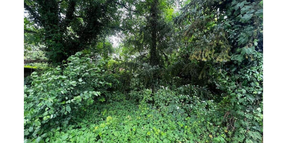 Grundstück Berlin Weißensee - 219.000&euro; | Angebot:24037658