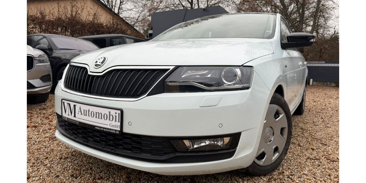 Skoda Rapid 38.694 km 13.990 &euro; Großbeeren 14979