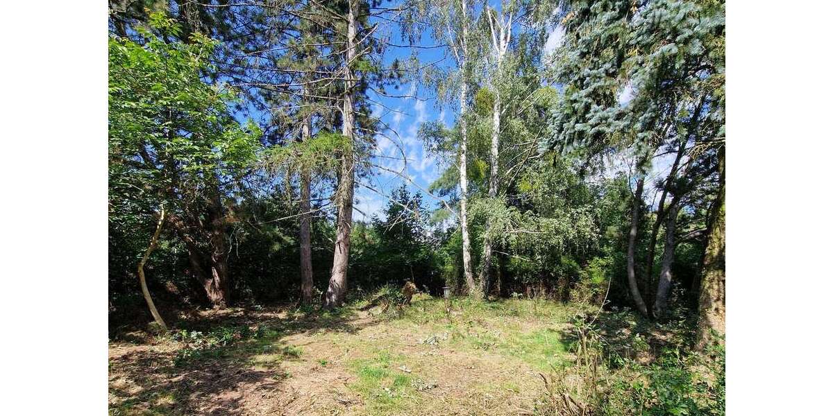 GRUNDSTÜCK - RUHIGE LAGE VON PETERSHAGENEGGERSDORF...... - Grundstück Petershagen/Eggersdorf Eggersdorf | Angebot:20209228