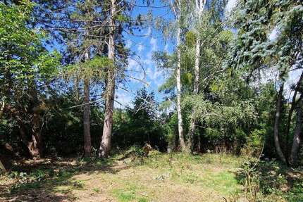 GRUNDSTÜCK - RUHIGE LAGE VON PETERSHAGENEGGERSDORF...... zimmer