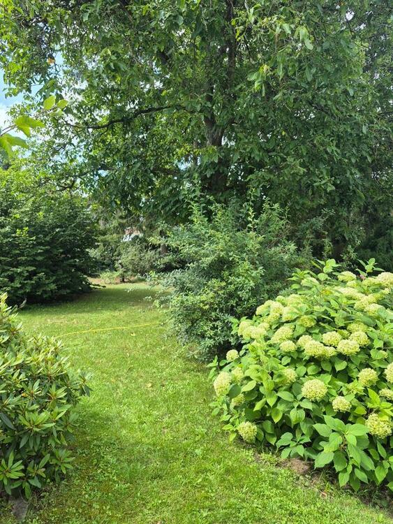 provisionsfreies, preiswertes, 4,5 Zimmer-Einfamilienhaus in Orb