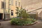 Etagenwohnung Berlin Pankow - 2 Zimmer, 43 m&sup2;, 349.900&euro; | Angebot:27029403