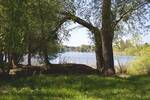 Etagenwohnung Falkensee - 6 Zimmer, 220 m&sup2;, 2.800&euro; | Angebot:26568835