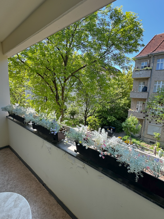 Wohnung zum Kaufen in Berlin 134.000 € 31 m²