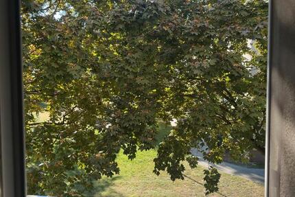 Wohnung Berlin Spandau - 1 Zimmer, 40 m&sup2;, 780&euro; | Angebot:25893943