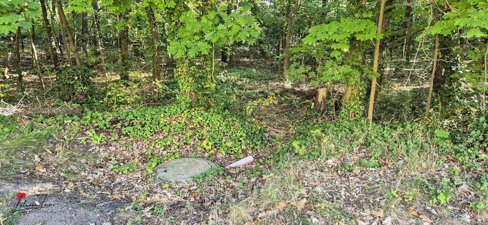 Grundstück mit Zukunftsperspektive – ca. 4.915 m² Waldfläche in Nuthetal zimmer