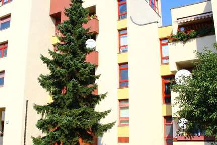 Wohnung Berlin Reinickendorf - 1 Zimmer, 28 m&sup2;, 143.000&euro; | Angebot:26004669