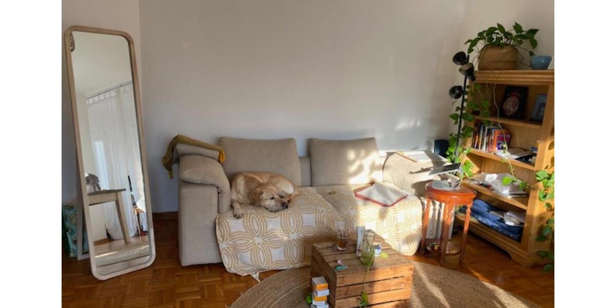 Erdgeschoßwohnung Berlin Steglitz-Zehlendorf - 1 Zimmer, 54 m&sup2;, 600&euro; | Angebot:24866506