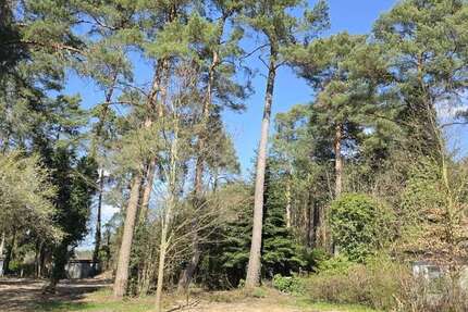 Grundstück Zühlsdorf Zühlsdorf - 280.000&euro; | Angebot:26495057