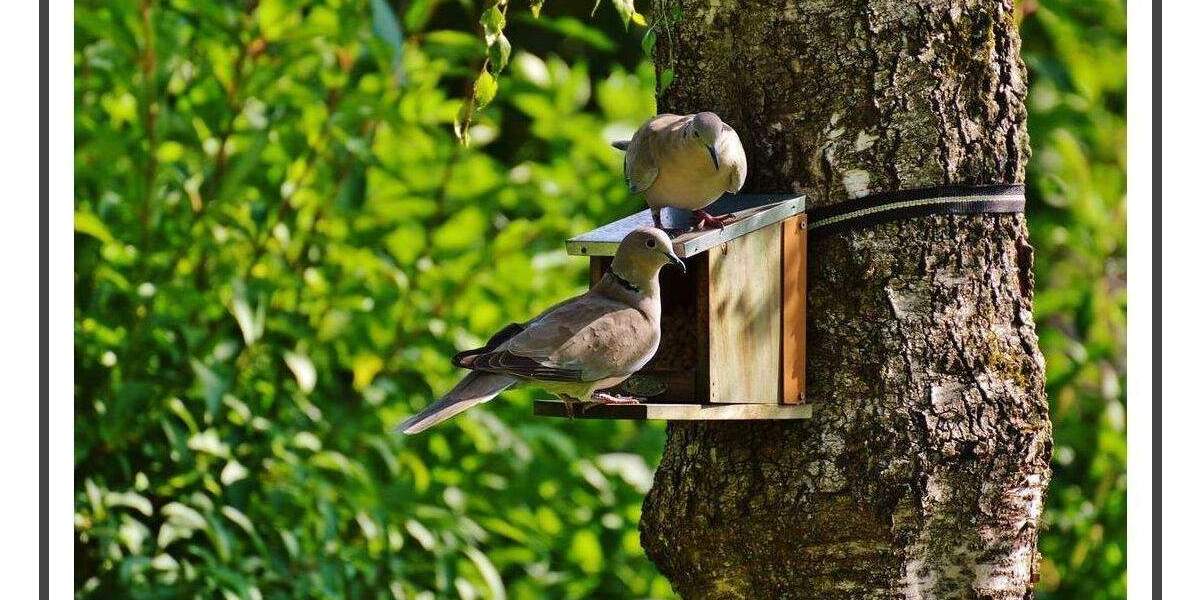 Etagenwohnung Berlin Lankwitz - 3 Zimmer, 73 m&sup2;, 349.000&euro; | Angebot:25800132